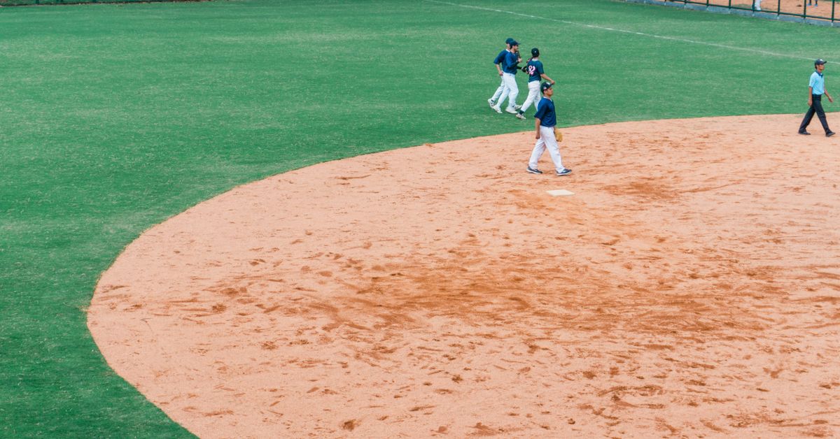 Economic Impact of Professional Sports Franchises