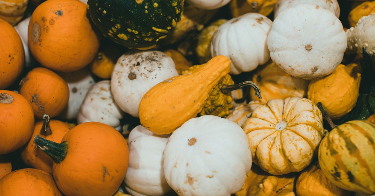 Canning and Preserving Extend Your Seasonal Harvest
