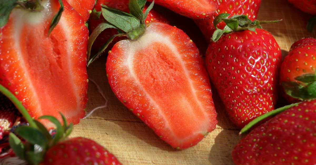 Summer Fruit Desserts Sweet Treats with Seasonal Fruit